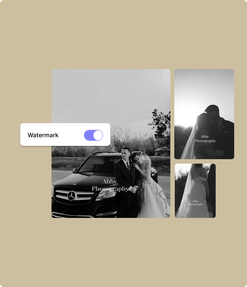 About Us tailwind page